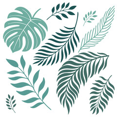 Tropical leaves. Cartoon jungle exotic palm plants and flowers. Banana, philodendron, plumeria, monstera leaf isolated on white background. Floral element vector set.