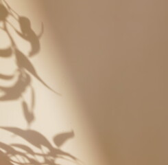 Abstract natural leaves shadows  background on beige color texture . copy space. floral card