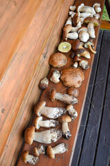 A pile of porcini mushrooms on a wooden bench, mushroom picking, good harvest.