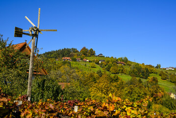 Schilcher Weinstrasse, Bad Gams, Steiermark, &Ouml;sterreich, 2015