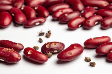 Close-up shows red kidney beans with insect damage, evidence of weevils infesting the food.