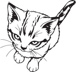 Cute kitten. Hand drawn vector illustration