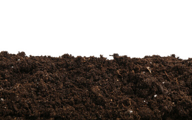 Fresh soil isolated on white. Gardening season