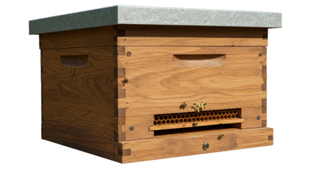 Isolated Wooden Beehive with Bees