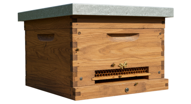 Isolated Wooden Beehive with Bees