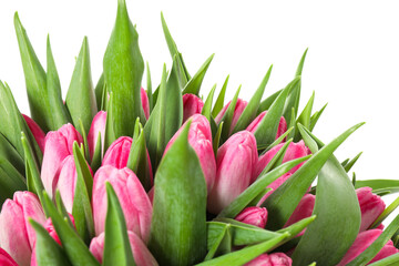 Bouquet of beautiful pink tulips isolated on white