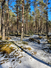 Fototapete bei efototapeten.de bestellen   