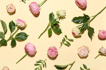 Beautiful pink roses and leaves on yellow background