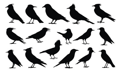 Obraz premium A cute vector set of bird silhouettes illustrates various flying wildlife animals with detailed feather and beak designs