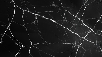 A series of cracks creating a natural abstract design over a high-contrast black surface.