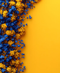 vibrant blue and yellow flowers arranged on the left against a striking yellow background
