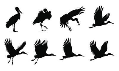 Obraz premium Black bird silhouettes vector art, wild wings in flight
