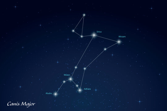Canis Major Constellation with Star Names in Night Sky