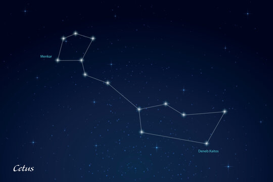 Cetus Constellation with Star Names in Night Sky