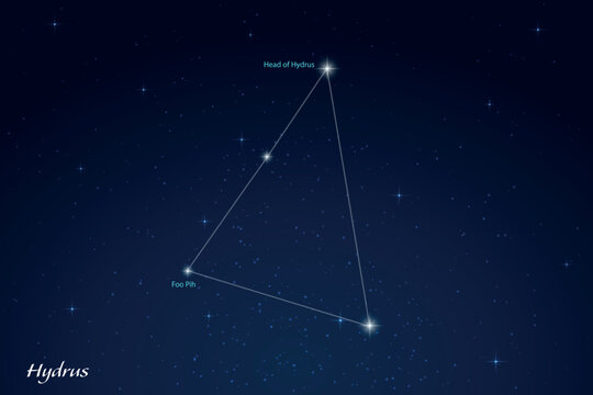 Hydrus Constellation with Star Names in Night Sky