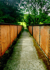 Fototapeta premium cast iron bridge in the park
