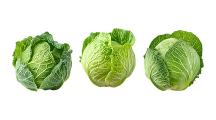 Fototapeta premium Pack of Cabbage set Against Transparent Background for Organic Food Branding, Healthy Eating Promotion, or Culinary Design Projects