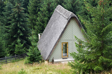 Wooden holiday house against the backdrop of tall spruce forest.