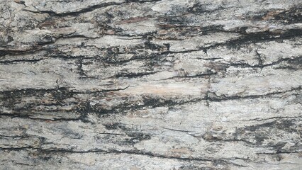 Rough and uneven wood surface wooden textured background