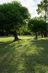 park in the park