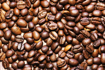 Freshly roasted coffee beans background