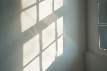 Obraz premium Soft sunlight shadows on a white wall