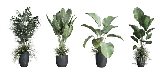 Plants in 3d rendering. Beautiful plant in 3d rendering isolated