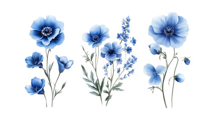Bouquet of Blue Flowers Set of Three Different Poses on Transparent Background for Floral Design, Wedding Decoration, or Gift Promotion