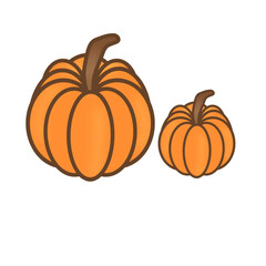 pumpkin isolated on white