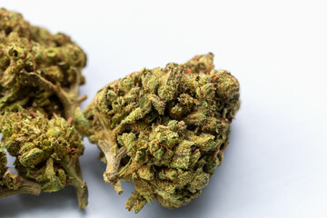 Close-up view of dried cannabis flower buds on white background with detailed texture and natural green and orange hues. Concept of medical marijuana, hemp products or herbal wellness. Cannabis flower