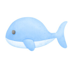 dolphin isolated on white