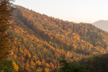 UNESCO Weltkulturerbe, Wachau, Aggstein, NIederösterreich, Öst