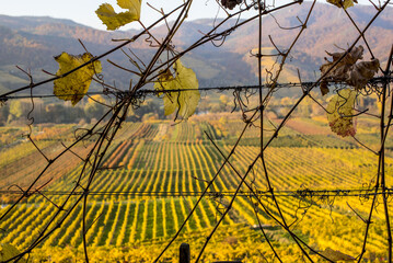 UNESCO Weltkulturerbe, Wachau, Weissenkirchen, NIederösterreich