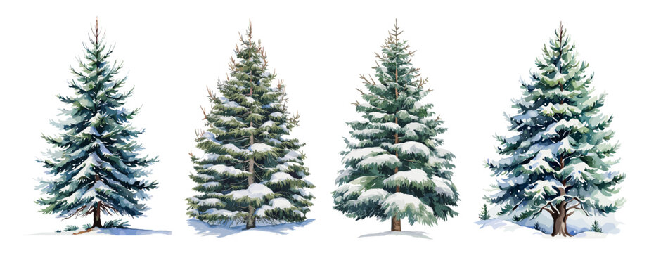Set of Christmas tree illustrations. Traditional holiday firs with snow in watercolor style isolated on white background.