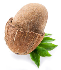 Split coconut fruit with whole inside seed over green leaves isolated on white background.