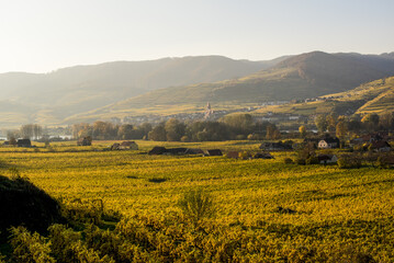 Obraz premium UNESCO Weltkulturerbe, Wachau, Weissenkirchen, NIederösterreich