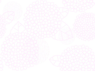 アジサイの背景　F-1