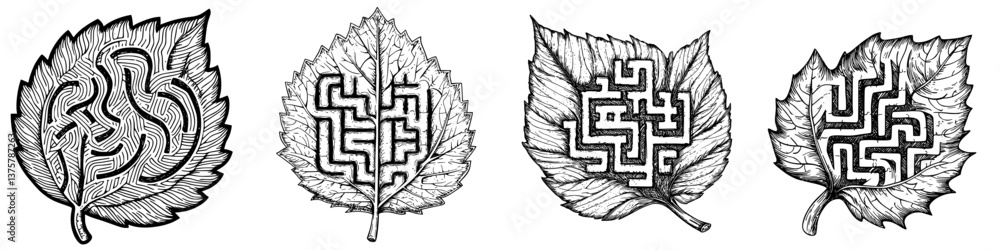 Poster intricate leaf designs feature mazes created with fine lines in a monochrome style
