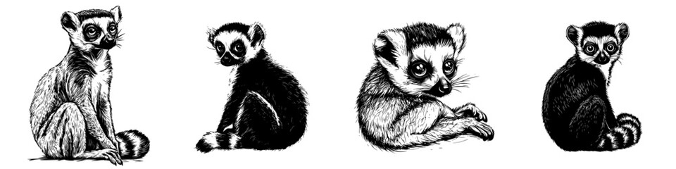 Obraz premium Lemurs depicted in detailed sketches showcasing their unique characteristics and playful nature