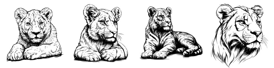 Fototapeta premium Lions illustrated in various poses showcasing their regal presence and playfulness in wildlife art
