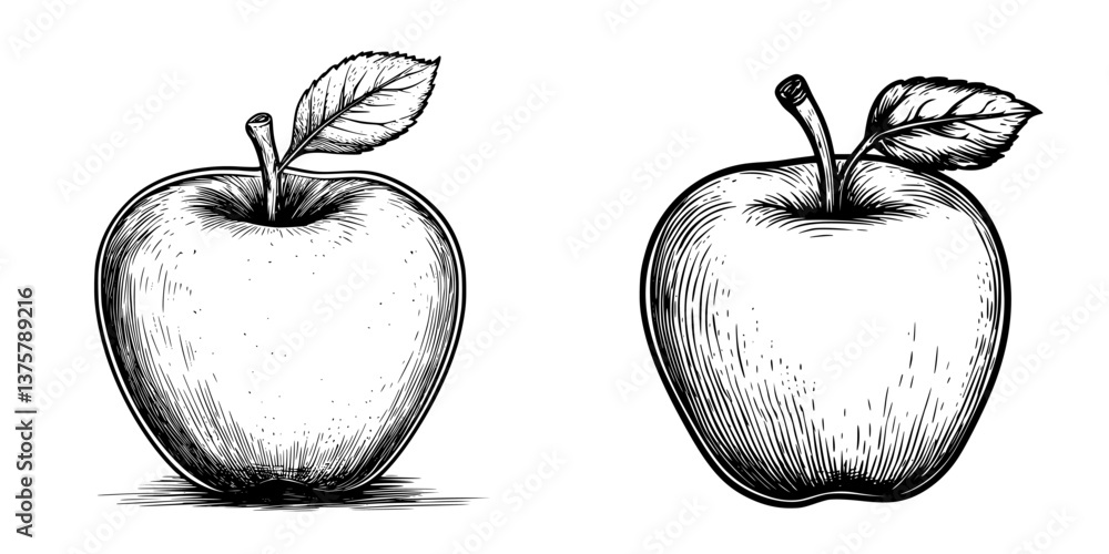 Poster artistic sketch of two apples showcasing different styles and textures in a minimalistic design
