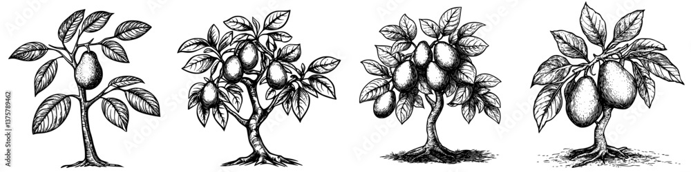 Poster illustrations of mango trees at various growth stages with distinct silhouettes and leaf patterns