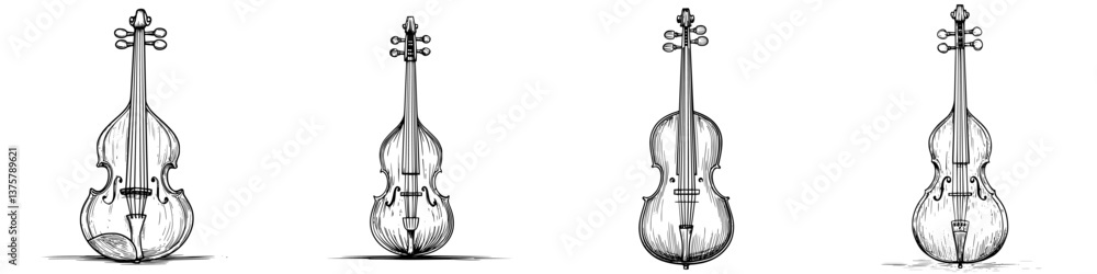 Poster historical string instruments displayed in a row showcasing their unique designs and shapes at a mus