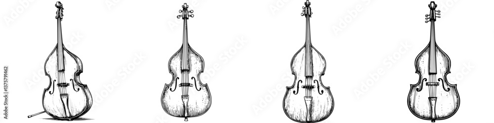 Poster various views of a vintage string instrument showcasing its elegant design and craftsmanship