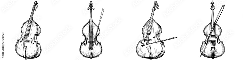 Poster different styles of string instruments displayed against a white background with intricate details h