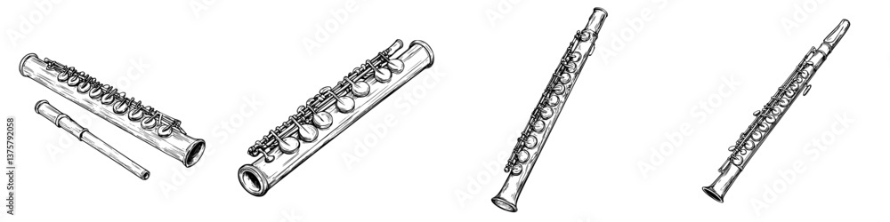 Poster different types of flutes displayed in various angles on a white background