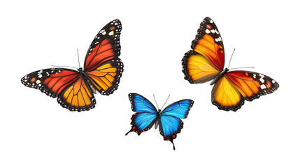 Obraz premium Butterflies in Flight Set of Three Different Poses on Transparent Background for Wildlife Design, Nature Marketing, or Insect Photography