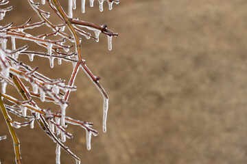 Obraz premium Winter's ice outdoors