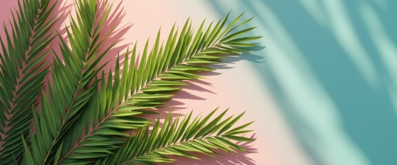 Fototapeta premium Fresh green palm leaves cast shadows on a two-tone pastel backdrop creating a refreshing tropical ambiance