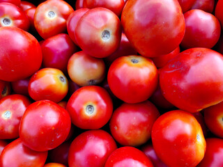 A pile of fresh tomato open sell in Indian market.